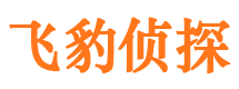 合山市调查取证